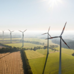 Le turbine eoliche allontanano i pipistrelli dalle fonti d’acqua: il paradosso “verde”